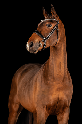 Foto: Jennifer Nitsche // Fotografie Nitsche