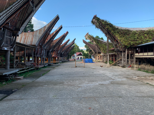 Reisetipps - Unterkunft - Rantepao - Sulawesi - travelumdiewelt.de