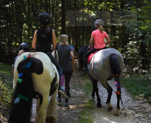 Sommer Reitlager 2 2018