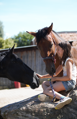 Sommer Reitlager 2 2018