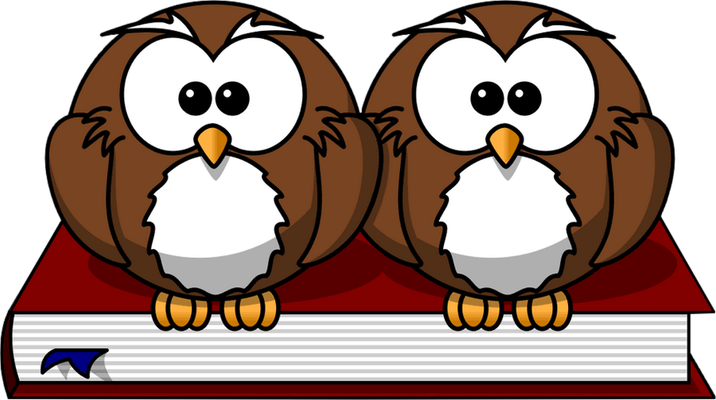 hibou - oiseau - animaux - smiley émoticône émoji cartoon clipart illustration - artémotic