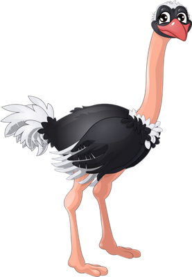 autruche - oiseau - animaux - smiley émoticône émoji cartoon clipart illustration - artémotic