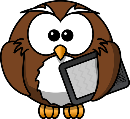 hibou - oiseau - animaux - smiley émoticône émoji cartoon clipart illustration - artémotic