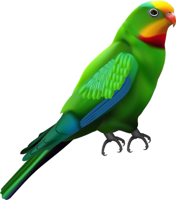 perroquet - oiseau - animaux - smiley émoticône émoji cartoon clipart illustration - artémotic