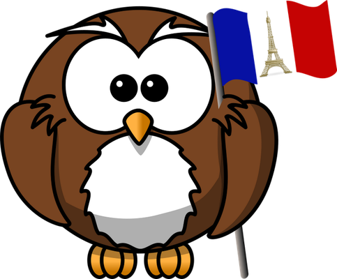 hibou - oiseau - animaux - smiley émoticône émoji cartoon clipart illustration - artémotic