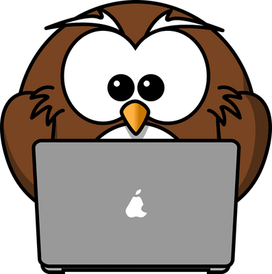hibou - oiseau - animaux - smiley émoticône émoji cartoon clipart illustration - artémotic