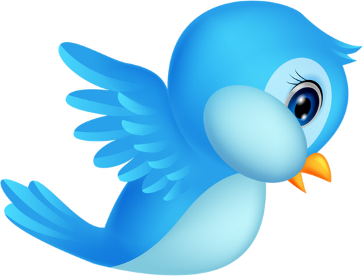 oiseau divers - animaux - smiley émoticône émoji cartoon clipart illustration - artémotic