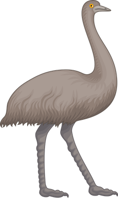 autruche - oiseau - animaux - smiley émoticône émoji cartoon clipart illustration - artémotic