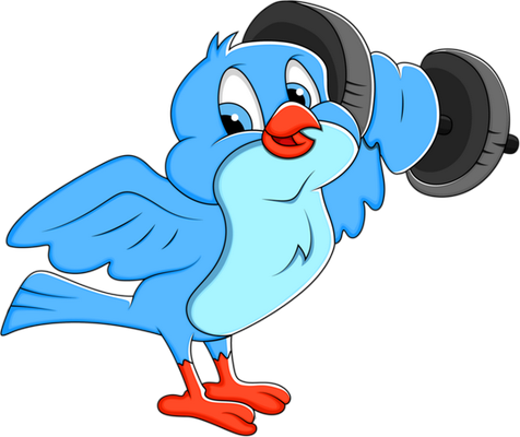 oiseau divers - animaux - smiley émoticône émoji cartoon clipart illustration - artémotic