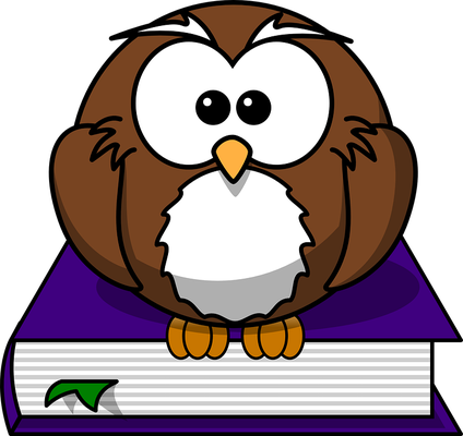 hibou - oiseau - animaux - smiley émoticône émoji cartoon clipart illustration - artémotic