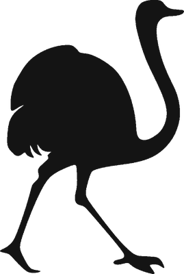 autruche - oiseau - animaux - smiley émoticône émoji cartoon clipart illustration - artémotic