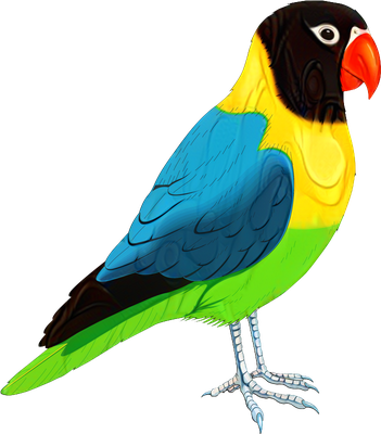 perroquet - oiseau - animaux - smiley émoticône émoji cartoon clipart illustration - artémotic