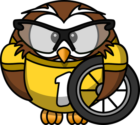 hibou - oiseau - animaux - smiley émoticône émoji cartoon clipart illustration - artémotic