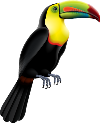 toucan - oiseau - animaux - smiley émoticône émoji cartoon clipart illustration - artémotic