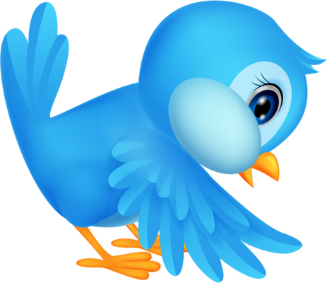 oiseau divers - animaux - smiley émoticône émoji cartoon clipart illustration - artémotic