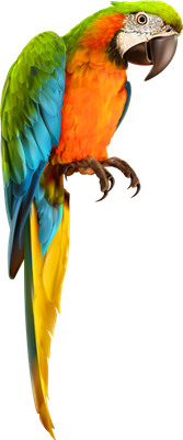 perroquet - oiseau - animaux - smiley émoticône émoji cartoon clipart illustration - artémotic