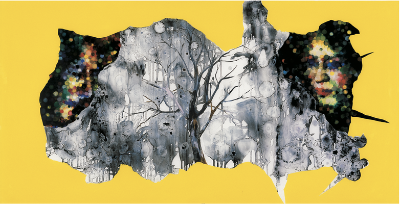 Sans titre n°14 (cadre jaune) - huile sous verre - 78x143 cm - n° 21/2002 - série Caprices