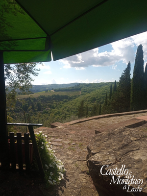 Ombra sotto il gazebo • Shade under the «gazebo»