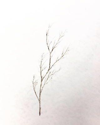 Soil On Paper, 2018