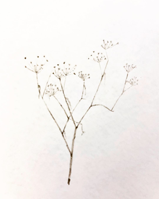 Soil On Paper, 2018
