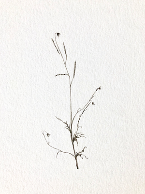 Dirt On Paper, 2018