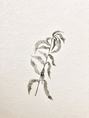 Dirt On Paper, 2018