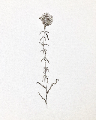 Dirt On Paper, 2018