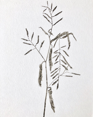 Dirt On Paper, 2018