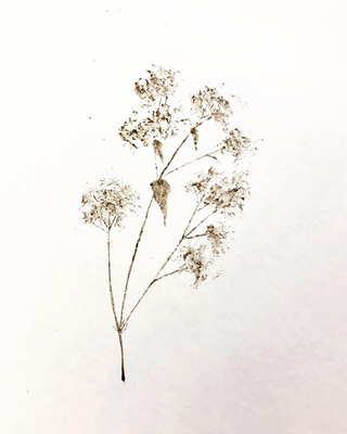 Soil On Paper, 2018
