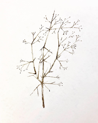 Soil On Paper, 2018