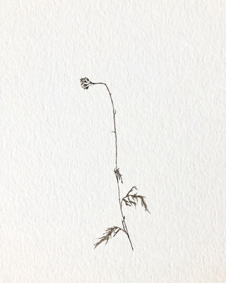 Dirt On Paper, 2018