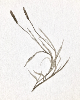 Dirt On Paper, 2018