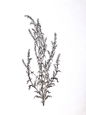 Dirt On Paper, 2018