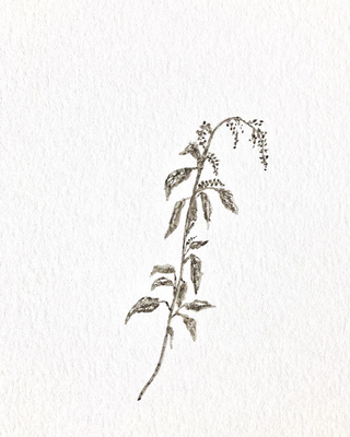 Dirt On Paper, 2018