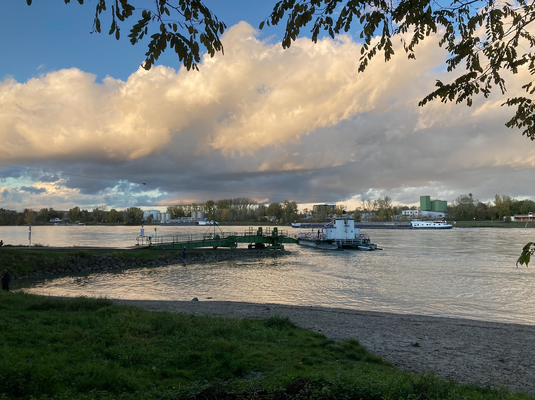 Donau Rollfähre, Blick vom Klosterneuburger auf das Korneuburger Ufer, N 48.328 | O16.329