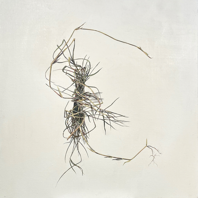 Weed Bundle (untitled), Oil on Canvas 15" x 15" 2019