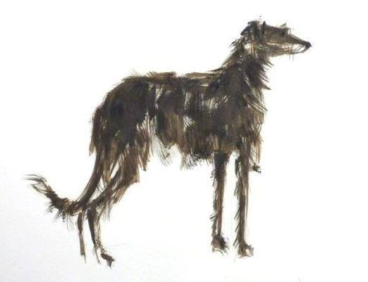 Deerhound Oil on Paper by Claudia Gaede