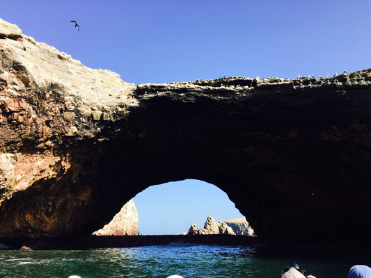 Paracas - Bootsausflug - Robben, Vögel, Pingus