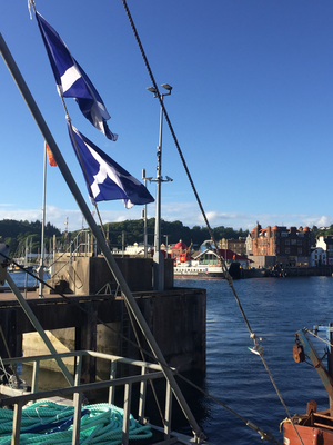 Im Hafen von Oban