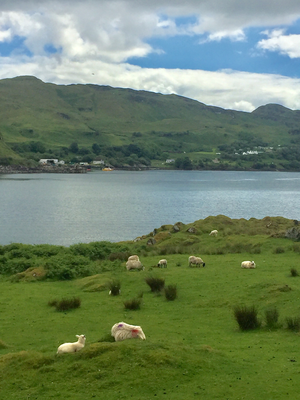 Auf Kerrera
