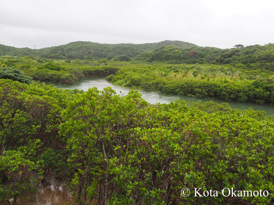 大浦川  Oura river