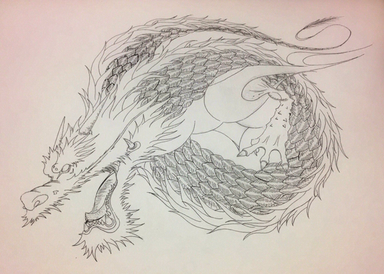 黒龍 固有種 紅龍 毛並みが紅白模様な事から幸龍とも呼ばれる龍 Thousandarms ページ 黒龍 固有種 紅龍 毛並みが紅白模様な事から幸龍とも呼ばれる龍 Thousandarms ページ