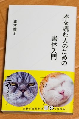 星海社新書　本を読む人のための書体入門 　帯写真（右）