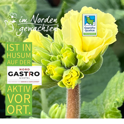Wir freuen uns auf die diesjährige GASTRO in Husum.  Gütezeichen Schleswig-Holstein im-Norden-gewachsen GUTES VOM HOF.SH  Landwirtschaftskammer Schleswig-Holstein  Messe Husum & Congress #messehusum #husum #SaveTheDate #nordgastroundhotel