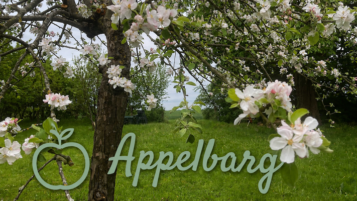 Foto: KI bearbeitet - John Langley