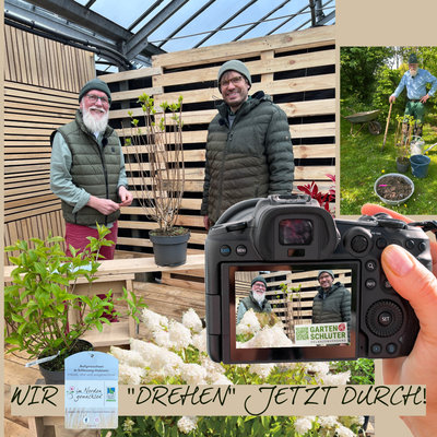 Foto: KI bearbeitet - John Langley