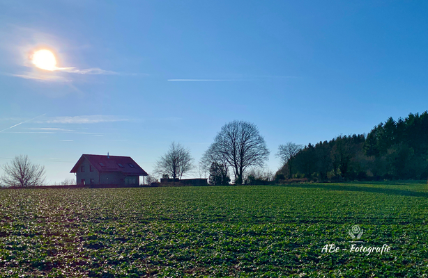 Januar 2020 Wintersonne