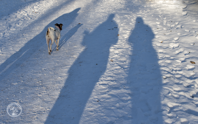 Licht und Schatten  -Jan17-