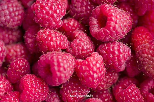 Juli 2019 Himbeeren geerntet