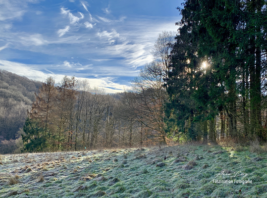 Februar 2019 -Handyfoto-
